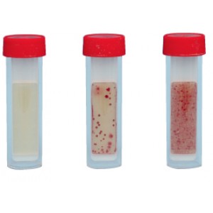 BIOTEST, test na obecność bakterii